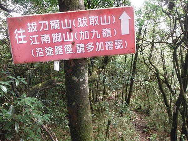 逐鹿山.逐鹿山西峰下雲森瀑布 109