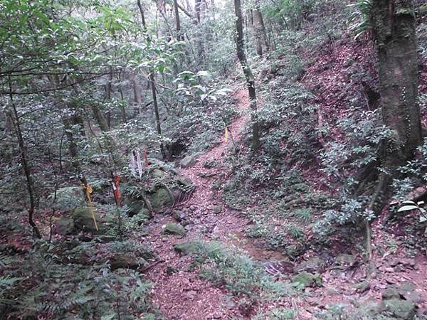 逐鹿山.逐鹿山西峰下雲森瀑布 136