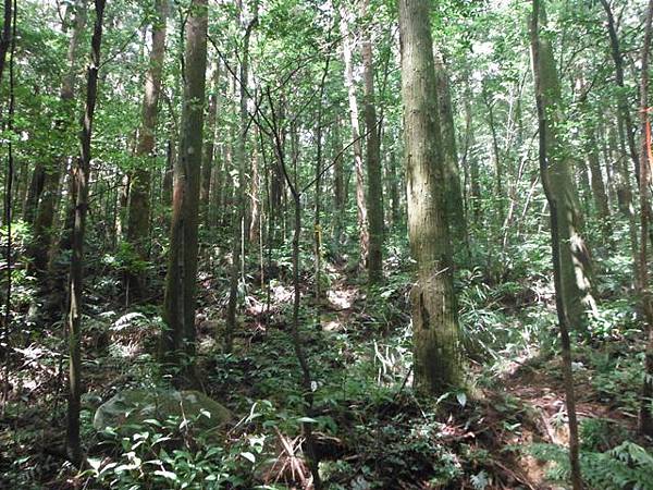 逐鹿山.逐鹿山西峰下雲森瀑布 151