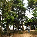 南崁山.五酒桶山.山鼻山.營盤坑古道.迴龍陸檢0010一等水準點 025