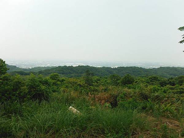 南崁山.五酒桶山.山鼻山.營盤坑古道.迴龍陸檢0010一等水準點 086