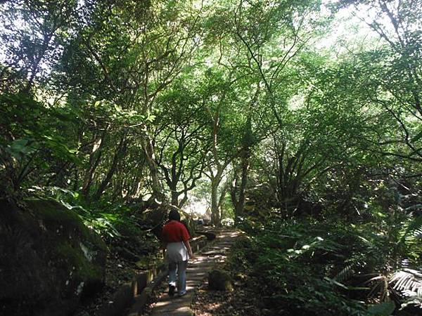 麟山鼻步道.下員坑山.青山瀑布 145