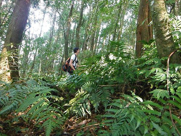 波露池.波露山.哈盆古道 054