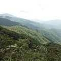 波露池.波露山.哈盆古道 141