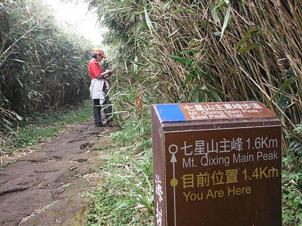 七星山.恐龍接吻石.凱達格蘭山.七星山南峰 033