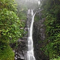 桶后林道.大礁溪山 018