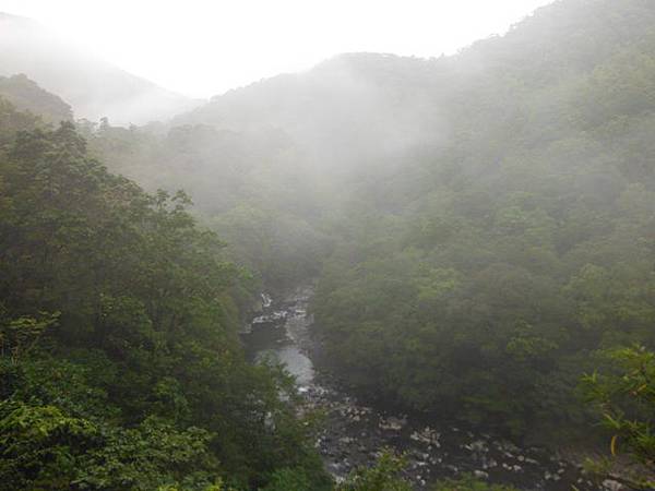 桶后林道.大礁溪山 028