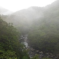 桶后林道.大礁溪山 028