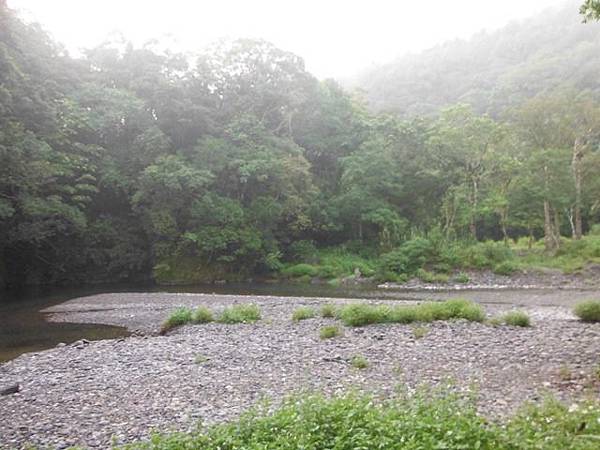 桶后林道.大礁溪山 033