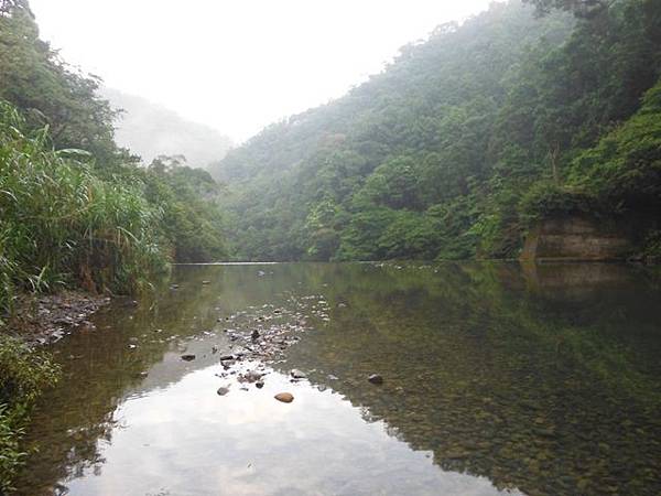 桶后林道.大礁溪山 034