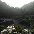 桶后林道.大礁溪山 043