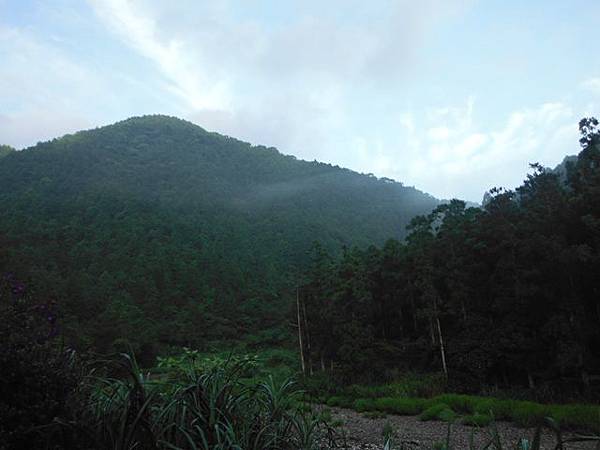 桶后林道.大礁溪山 049