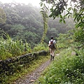 桶后林道.大礁溪山 054