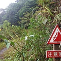 桶后林道.大礁溪山 058