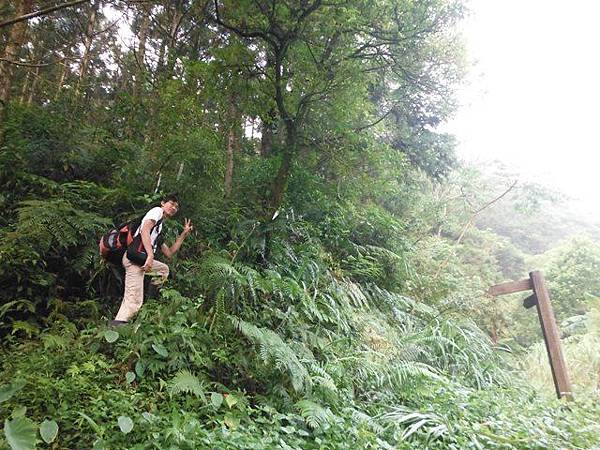 桶后林道.大礁溪山 066