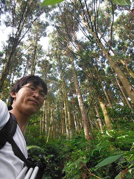 桶后林道.大礁溪山 070