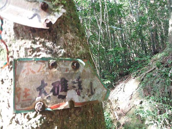 桶后林道.大礁溪山 074