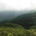 桶后林道.大礁溪山 106