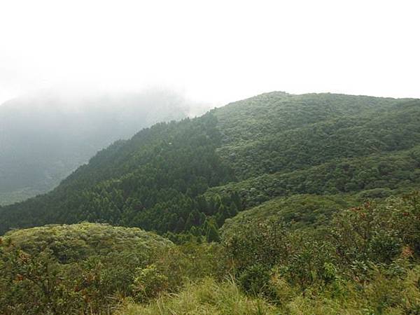 桶后林道.大礁溪山 124