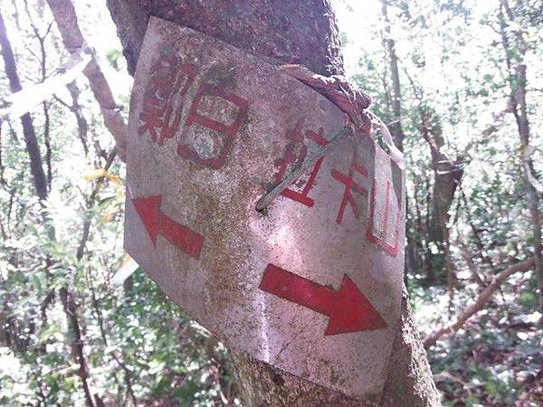 拉卡山.東滿步道 031