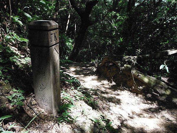 拉卡山.東滿步道 096