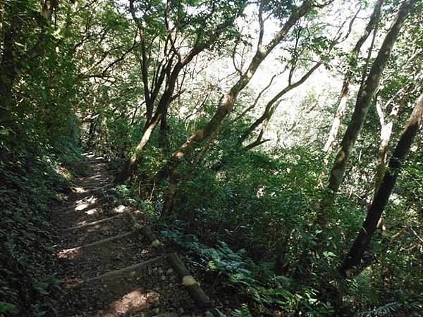 拉卡山.東滿步道 101