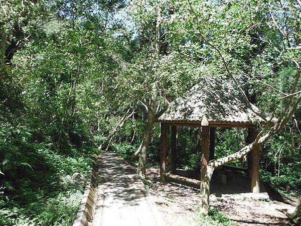 拉卡山.東滿步道 111