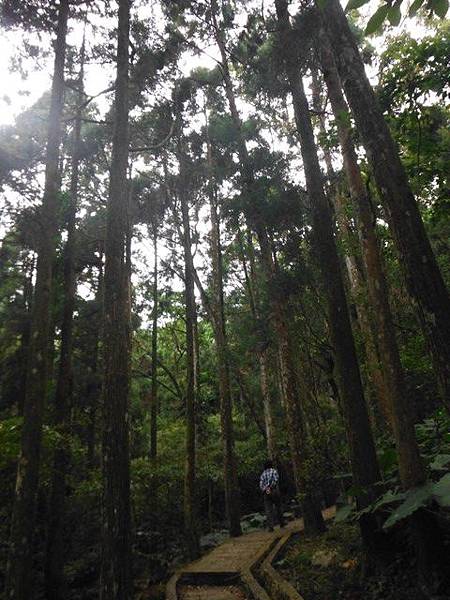 東滿步道.拉卡山 004