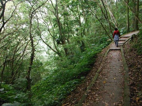 東滿步道.拉卡山 005
