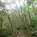 東滿步道.拉卡山 006