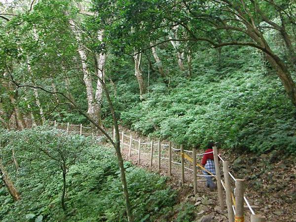 東滿步道.拉卡山 010