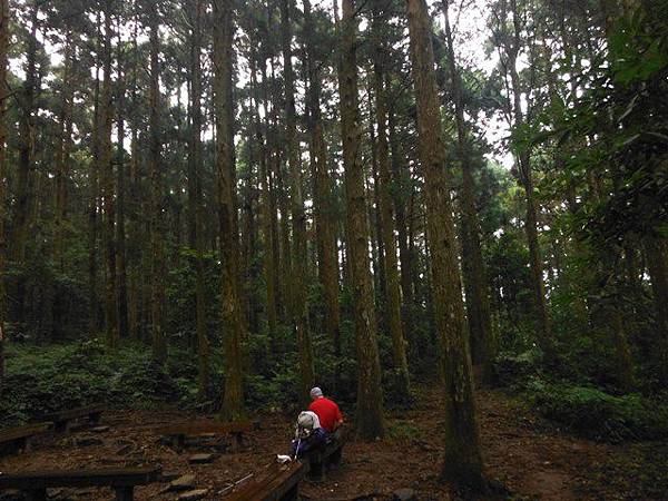 東滿步道.拉卡山 022