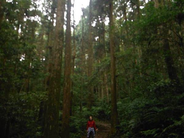 東滿步道.拉卡山 025