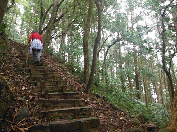 東滿步道.拉卡山 037