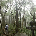 東滿步道.拉卡山 049