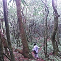 東滿步道.拉卡山 050