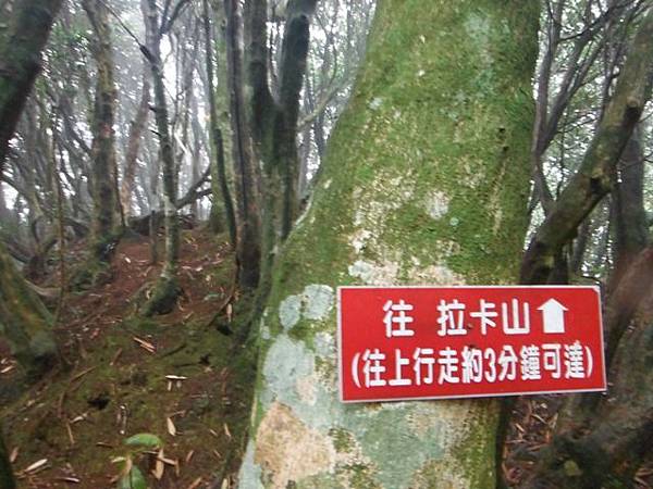 東滿步道.拉卡山 067