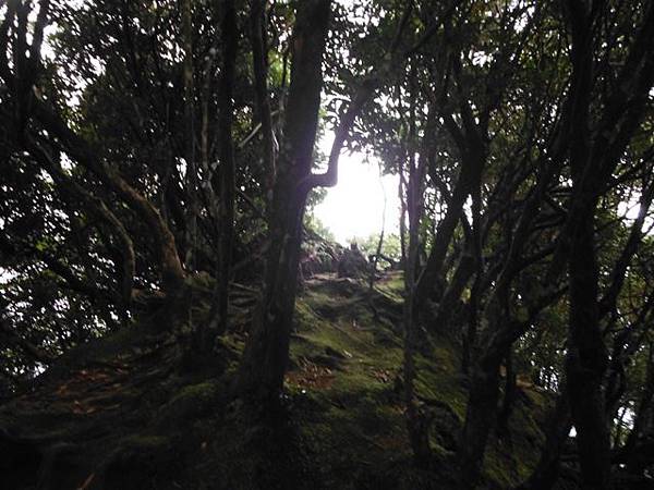 東滿步道.拉卡山 070