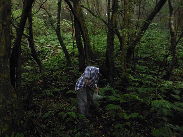 東滿步道.拉卡山 099