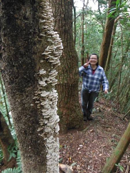 東滿步道.拉卡山 106