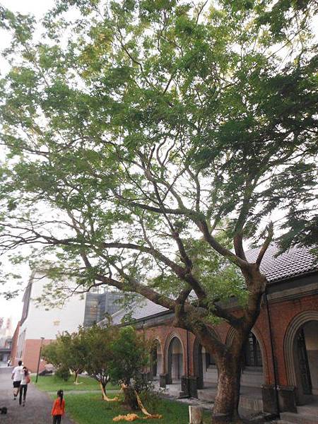 北師美術館.台北教育大學.永春崗公園登象山 018