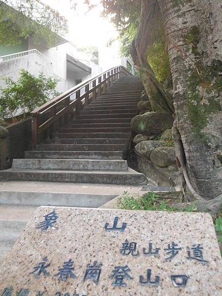 北師美術館.台北教育大學.永春崗公園登象山 031