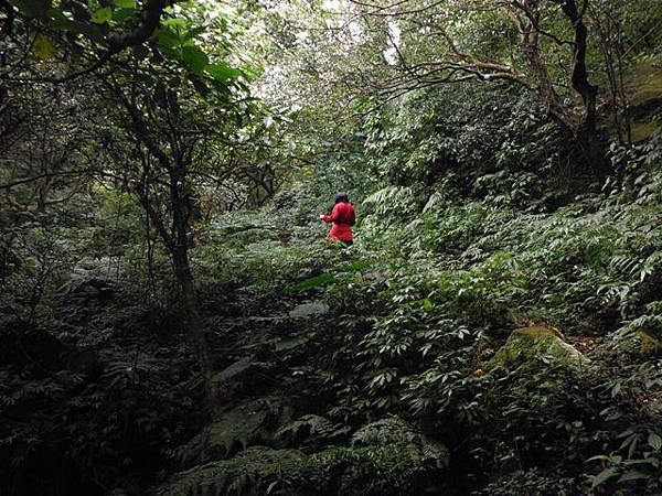 阿里磅瀑布.竹子山古道 031