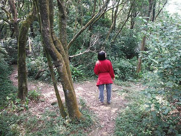 阿里磅瀑布.竹子山古道 050