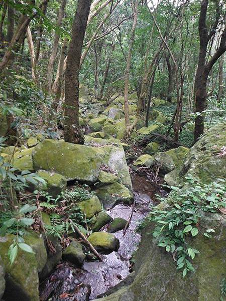 阿里磅瀑布.竹子山古道 062