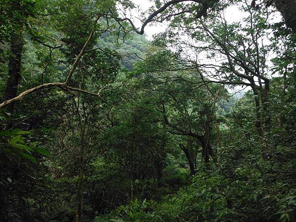 阿里磅瀑布.竹子山古道 083