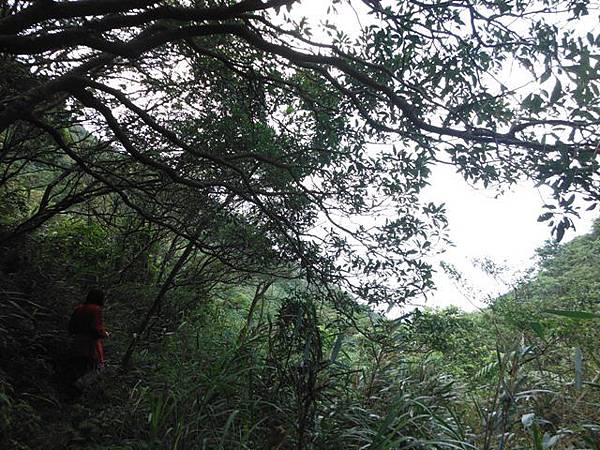 阿里磅瀑布.竹子山古道 102