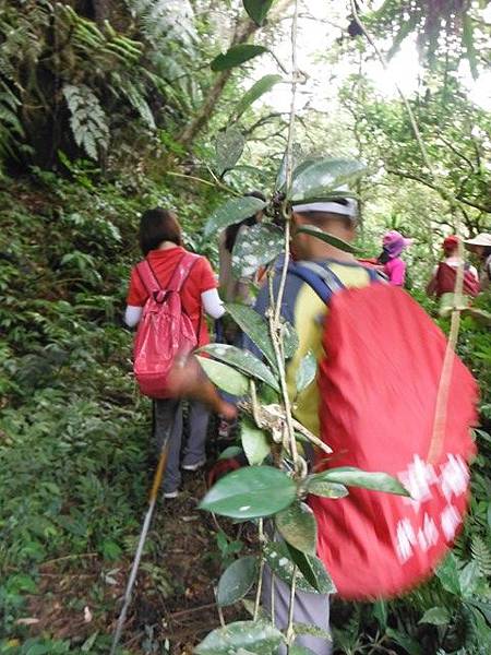 實旅聯網十周年活動.雷公埤山.雷公埤古道.車閂寮古道.中嶺山.十份子古道 040