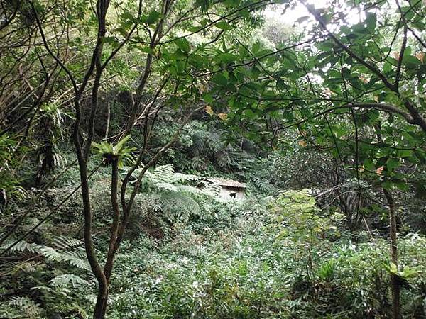 實旅聯網十周年活動.雷公埤山.雷公埤古道.車閂寮古道.中嶺山.十份子古道 074