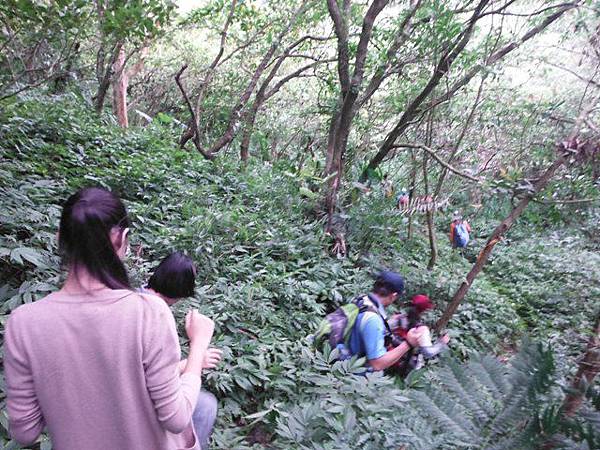 實旅聯網十周年活動.雷公埤山.雷公埤古道.車閂寮古道.中嶺山.十份子古道 081